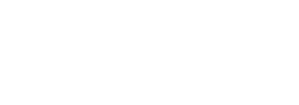 AnylenCore