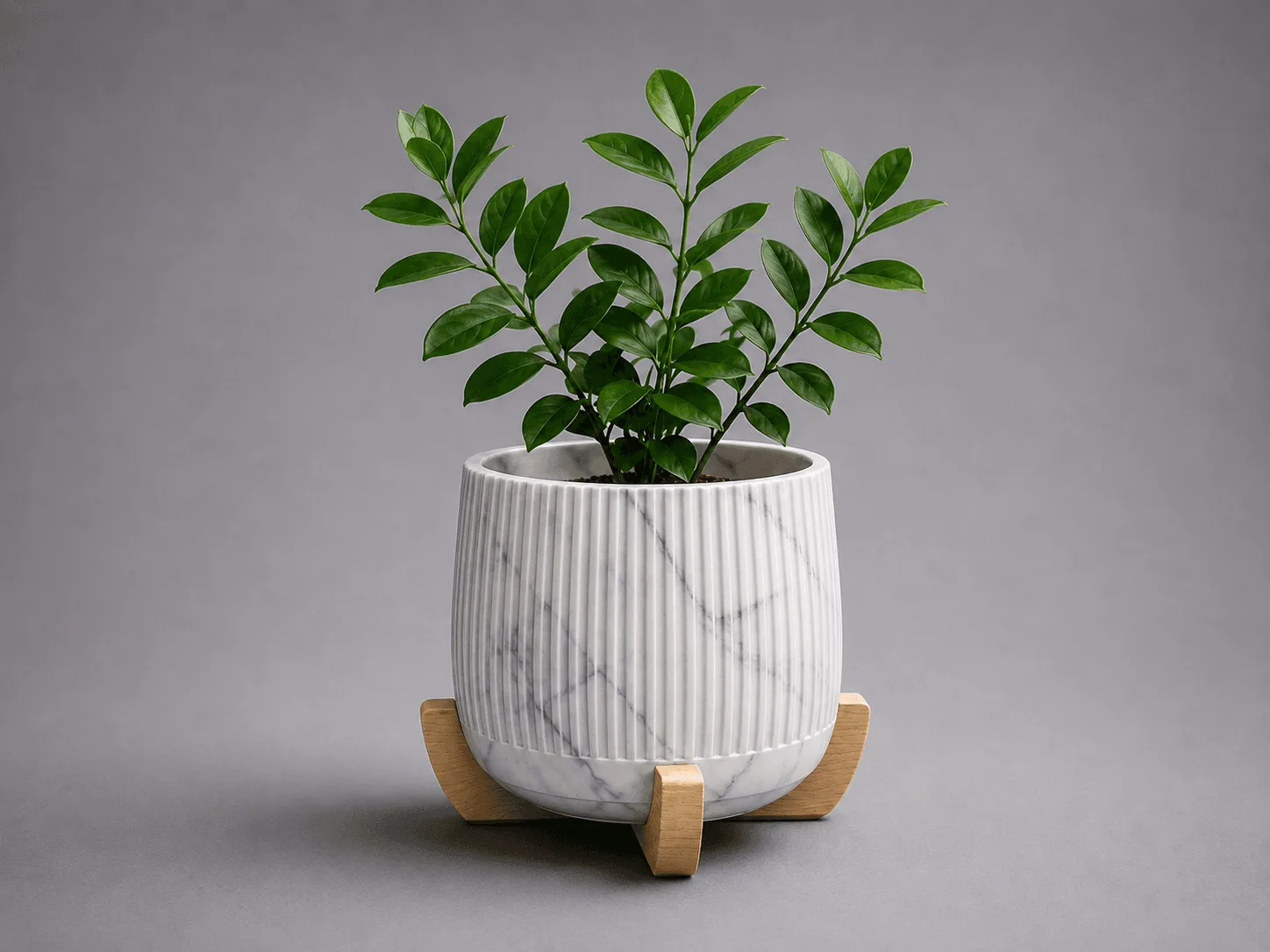 Maceta Decorativa Plus